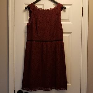 LOFT burgundy lace dress